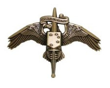 Marine Corps Badge: MARSOC Bronze Marine Corps Forces Special Operations Command