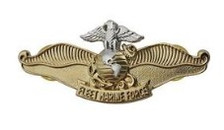 Navy/Marine Breast Badge: Fleet Marine Force Chaplain - miniature