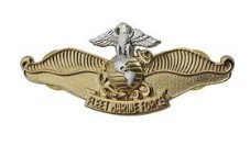 Navy/Marine Breast Badge: Fleet Marine Force Chaplain - miniature
