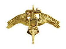 Marine Corps Miniature Badge: MARSOC Marine Corps Forces Special Operations Command