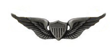 Army Badge: Aviator - regulation size, silver oxidized