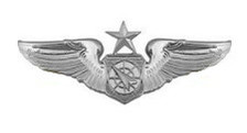 Air Force Badge: Air Battle Manager: Senior - regulation size