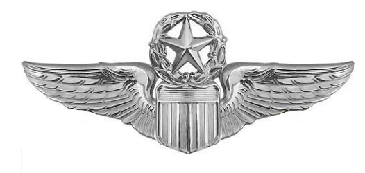 USAF BASIC NAVIGATOR WINGS BADGE SILVER OXIDIZED