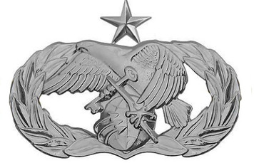 Air Force Badge: Logistics Readiness: Senior - regulation size