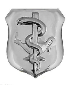 Air Force Badge: Nurse