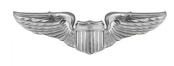 Air Force Badge: Pilot - regulation size