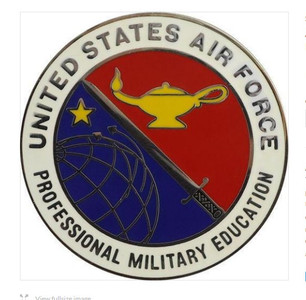 Air Force Badge: Professional Military Education