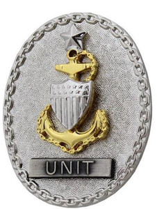 Coast Guard Badge: Enlisted Advisor E8 Unit: Senior - regulation size