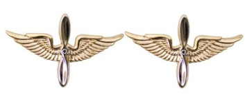 Army Officer Branch of Service Collar Device: Aviation - 22k gold plated
