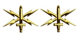 Army Officer Branch of Service Collar Device: Cyber Warfare - 22k gold plated