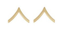 Army Chevron: Private - 22k gold plated