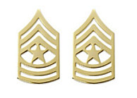 Army Chevron: Sergeant Major - 22k gold plated