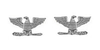 Army Officer Rank Insignia: Colonel - nickel plated- pair