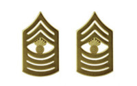 Marine Corps Chevron: Master Gunnery Sergeant - satin gold- pair