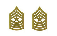 Marine Corps Chevron: Sergeant Major - satin gold
