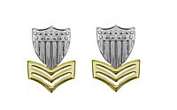 Coast Guard Metal Collar Device: E6 Petty Officer- pair
