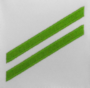 Navy E2 Rating Badge: Airman Apprentice - green chevrons on white CNT