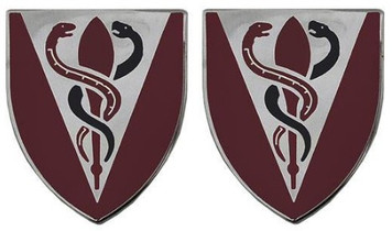 Army Crest: 325th Support Battalion- pair
