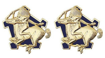 Army Crest: 9th Cavalry Regiment- pair
