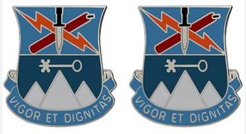 Army Crest: Special Troops Battalion 2nd Brigade 10th Mounted Division- pair