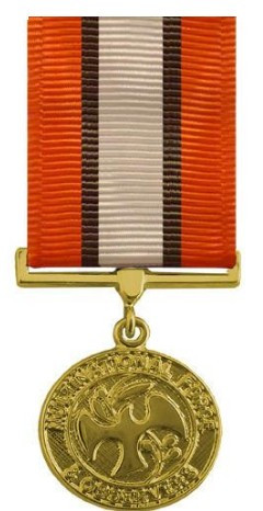 Full Size Medal: Multinational Force and Observer - 24k Gold Plated