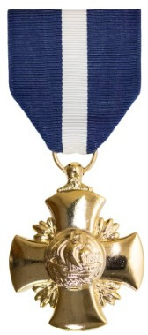 Full Size Medal: Navy Cross - 24k Gold Plated