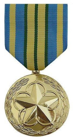 Full Size Medal: Outstanding Volunteer Service - 24k Gold Plated
