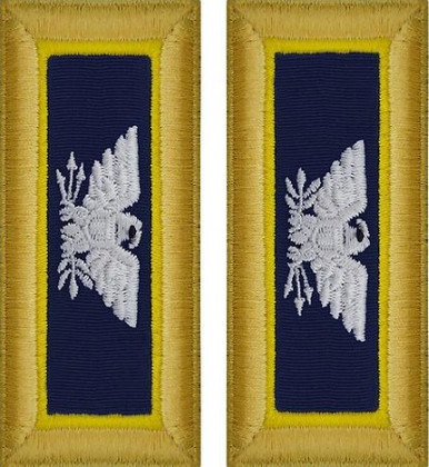 Army Colonel Shoulder Board- Chemical