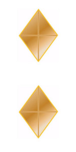 Ribbon Attachments Diamond – gold – pair