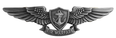 Navy Badge: Aviation Warfare Specialist - regulation size, oxidized