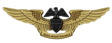 Navy Badge: Professional Aviation Maintenance Officer