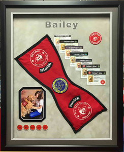 Pet Memorial Shadow Box Display- Bailey's Therapy  Work