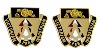 Army crest - 923rd Support Battalion  Motto - VICYORIAM PER INDUSTRIAM