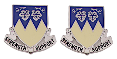 Army crest - 13th Support Battalion Motto - Strength Support