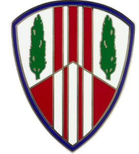 369th Sustainment Brigade Combat Service Identification Badge (CSIB)