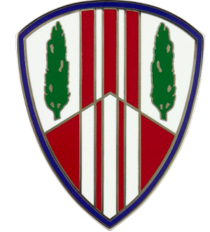 369th Sustainment Brigade Combat Service Identification Badge (CSIB)