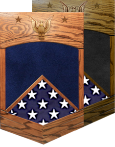 US Navy E-9 Master Chief Petty Officer Shadow Box w/ Flag
