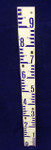 Water Survey of Canada Staff Gage, 1m x 8cm Wide