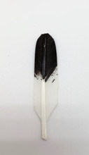 FEATHER MINI IMIT.GOLDEN EAGLE HAND PAINTED