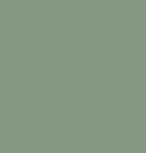 SATIN RIBBON BY THE ROLL 1/8" 50m DESIGN CELADON (#203-3-049)
