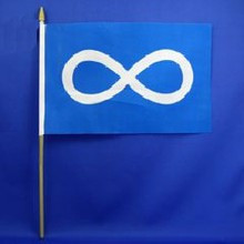 FLAG METIS 6x9 BLUE W PLASTIC POLE