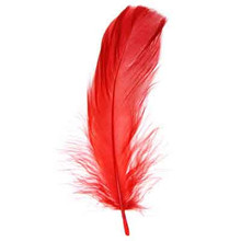 FEATHERS GOOSE 5-7" RED DAZZLE-IT