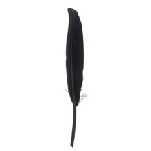 FEATHERS DUCK QUILL 3-4" BLACK DAZZLE-IT!