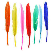 FEATHERS DUCK QUILL 3-4" MULTI MIX DAZZLE-IT!