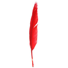 FEATHERS DUCK QUILL 7" RED DAZZLE-IT