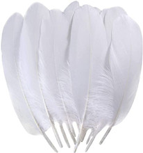 FFEATHER CRAFT 8" WHITE GOOSE FEATHERS
