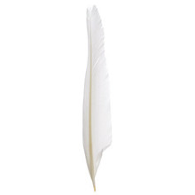FEATHERS DUCK QUILL 7" WHITE DAZZLE-IT