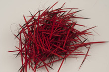 PORCUPINE QUILLS DYED RED 7 gms