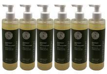 HAND & BODY WASH 10.1oz/300ml PEPPERMINT SAGE CASE PACK (6)