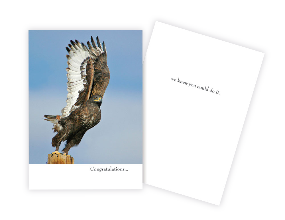 CLASSIC CARD SINGLE LEANIN' TREE CONGRATULATIONS Western Varieties